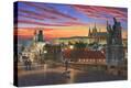 Stretched Canvas Print