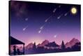 Stretched Canvas Print