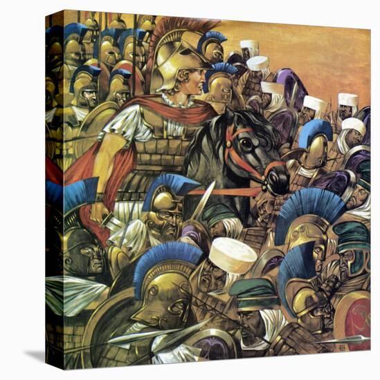 Stretched Canvas Print, , large