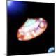 Premium Photographic Print