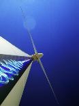 Wind Turbine Generating Electricity-Richard Kail-Photographic Print