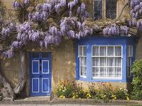 Wisteria-Covered Cottage-Richard Klune-Photographic Print