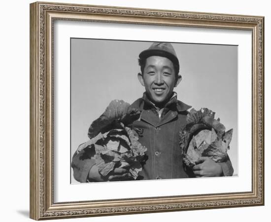 Richard Kobayashi, farmer with cabbages at Manzanar, 1943-Ansel Adams-Framed Photographic Print