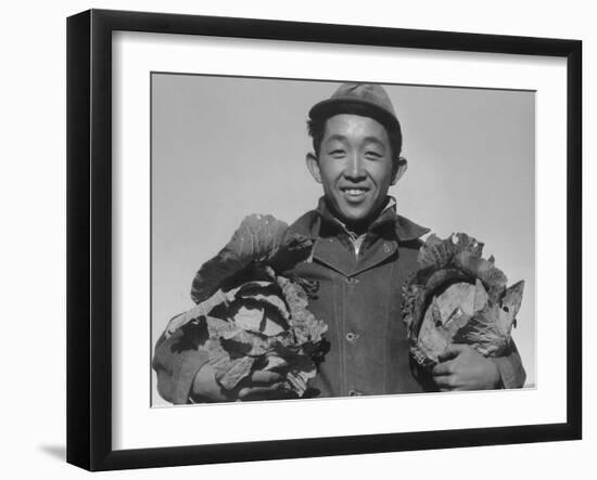 Richard Kobayashi, farmer with cabbages at Manzanar, 1943-Ansel Adams-Framed Photographic Print