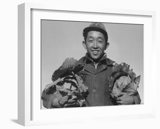 Richard Kobayashi, farmer with cabbages at Manzanar, 1943-Ansel Adams-Framed Photographic Print