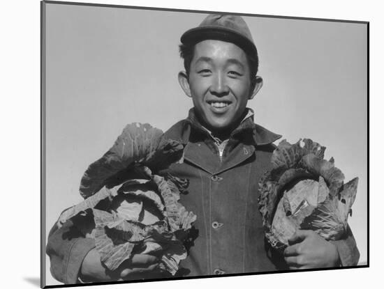 Richard Kobayashi, farmer with cabbages at Manzanar, 1943-Ansel Adams-Mounted Photographic Print
