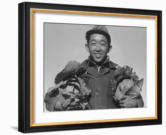 Richard Kobayashi, farmer with cabbages at Manzanar, 1943-Ansel Adams-Framed Photographic Print