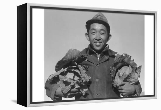 Richard Kobayashi, Farmer with Cabbages-Ansel Adams-Framed Stretched Canvas