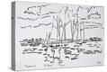 Stretched Canvas Print