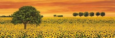 Valley of Sunflowers-Richard Leblanc-Framed Art Print