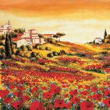 Valley of Poppies-Richard Leblanc-Art Print
