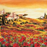 Valley of Poppies-Richard Leblanc-Framed Art Print