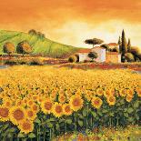 Valley of Poppies-Richard Leblanc-Framed Art Print