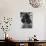 Richard M. Nixon's Dog, Checkers-Ralph Crane-Photographic Print displayed on a wall