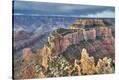 Stretched Canvas Print