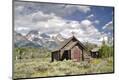 Premium Photographic Print