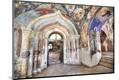 Premium Photographic Print