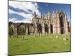 Photographic Print