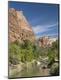 Photographic Print