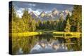 Stretched Canvas Print