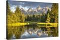 Stretched Canvas Print