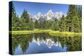 Stretched Canvas Print