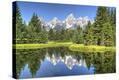 Stretched Canvas Print