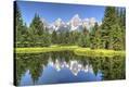 Stretched Canvas Print