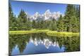 Photographic Print