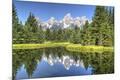 Photographic Print