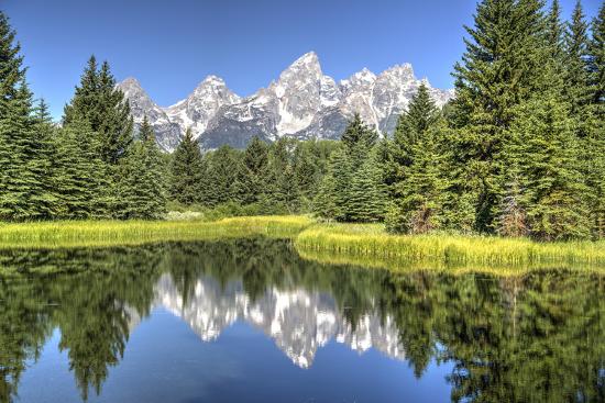 Premium Photographic Print, , large