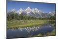 Premium Photographic Print