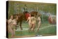 Stretched Canvas Print