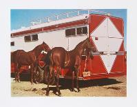 Fillys with Trailer-Richard McLean-Collectable Print