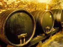 Wooden Kegs for Ageing Wine in Cellar of Pavel Soldan in Village of Modra, Slovakia-Richard Nebesky-Photographic Print