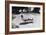 Richard Nixon Reading Newspapers While Sitting by the Pool in San Clemente, Ca. 1969-74-null-Framed Photo