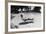 Richard Nixon Reading Newspapers While Sitting by the Pool in San Clemente, Ca. 1969-74-null-Framed Photo