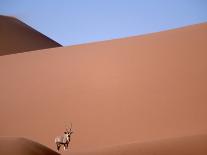 Lone Gemsbok Walking On Sand Dunes-Richard Olivier-Framed Photographic Print