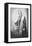 Richard Owen, British Naturalist, C1856-null-Framed Premier Image Canvas