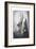 Richard Owen, British Naturalist, C1856-null-Framed Giclee Print