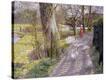 Stretched Canvas Print