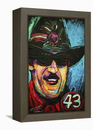 Richard Petty 001-Rock Demarco-Framed Premier Image Canvas