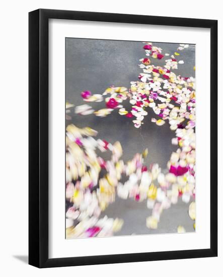 Photo, , large