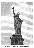 Liberty Flag-Richard Roffman-Mounted Art Print