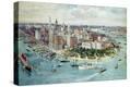 Stretched Canvas Print