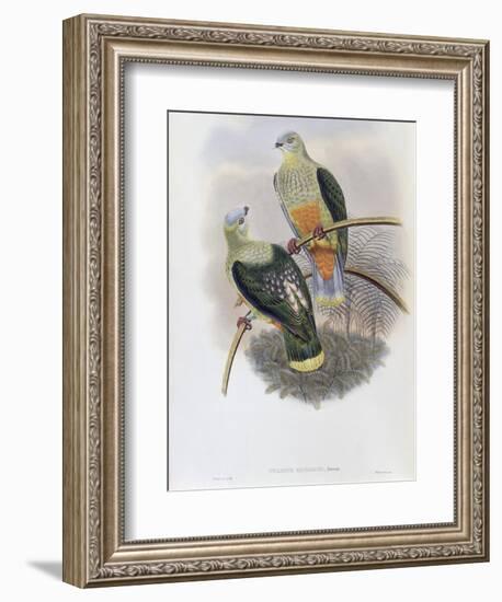 Richard's Fruit Pigeon-John Gould-Framed Giclee Print