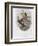 Richard's Fruit Pigeon-John Gould-Framed Giclee Print