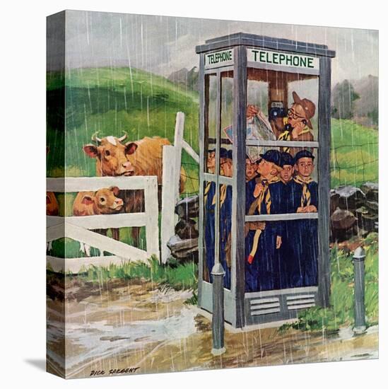 Stretched Canvas Print, , large