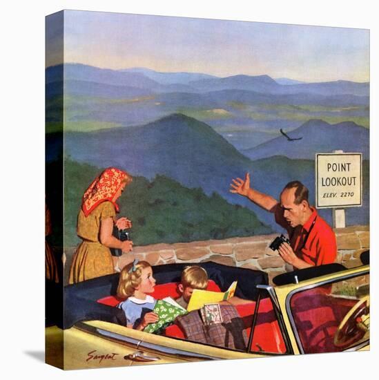 Stretched Canvas Print, , large