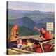Stretched Canvas Print